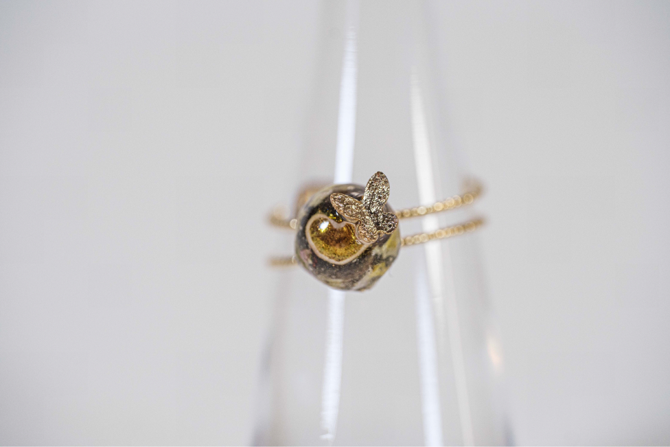 Butterfly Seed